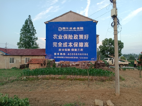 湘乡墙体广告为何受追捧？